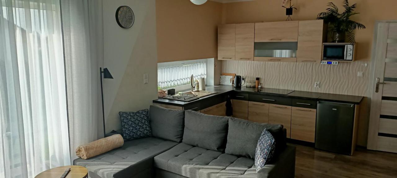 Apartamenty Modrzewiowe Tarasy Chojnice Exterior foto
