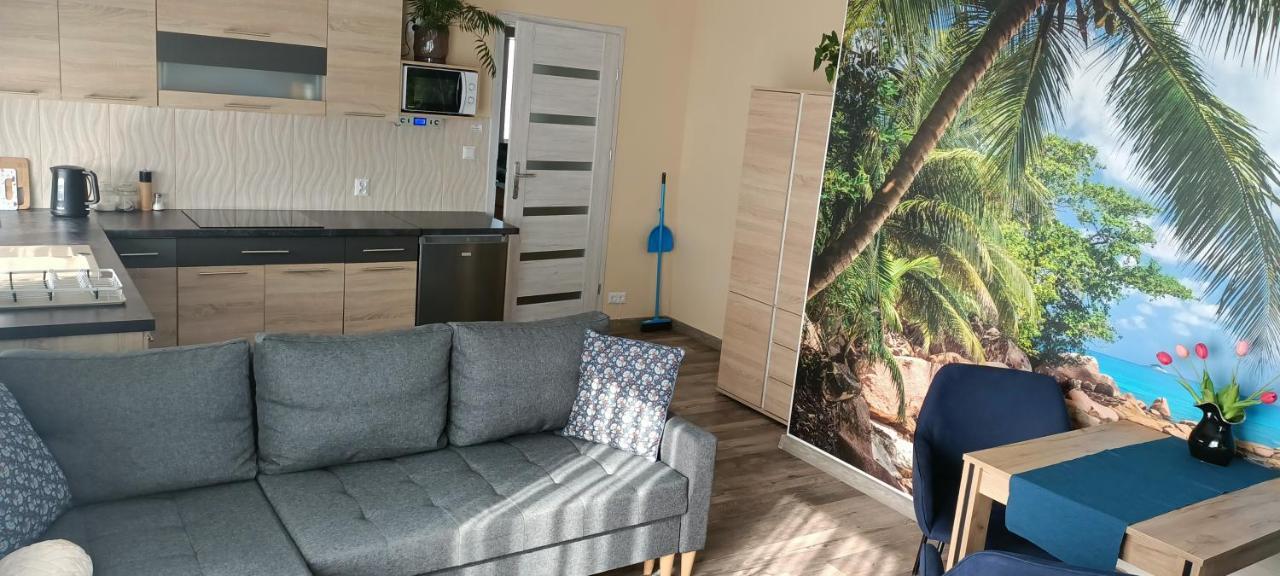 Apartamenty Modrzewiowe Tarasy Chojnice Exterior foto